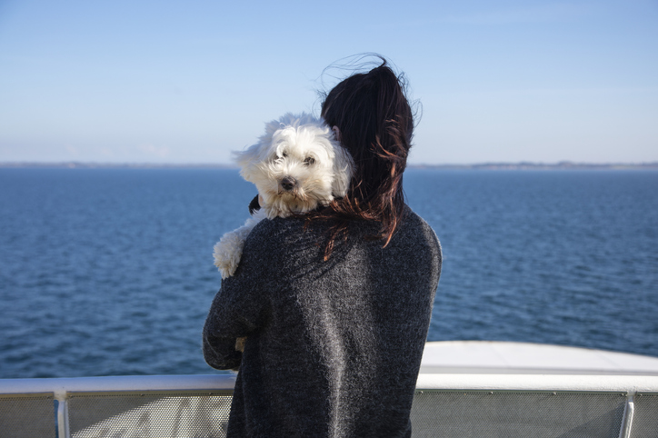 Hond kijkt over de schouder van eigenaresse aan zee