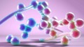 Schimmelinfecties