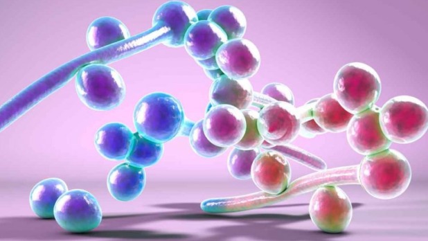Schimmelinfecties
