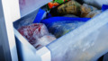 Frozen vegetables in freezer
