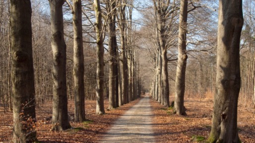 Venendaal West
