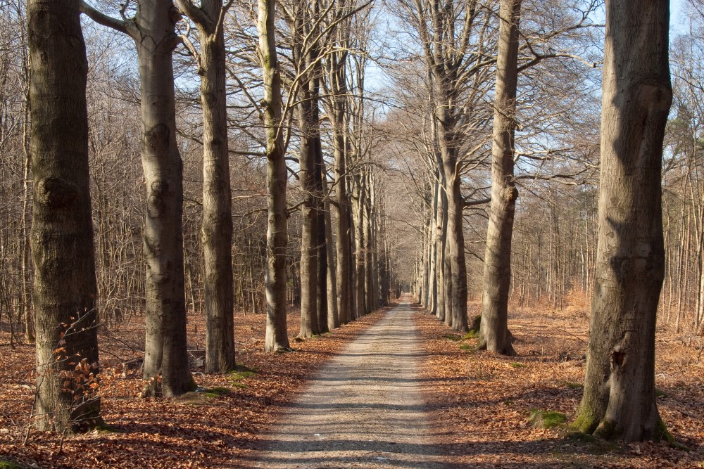 Venendaal West