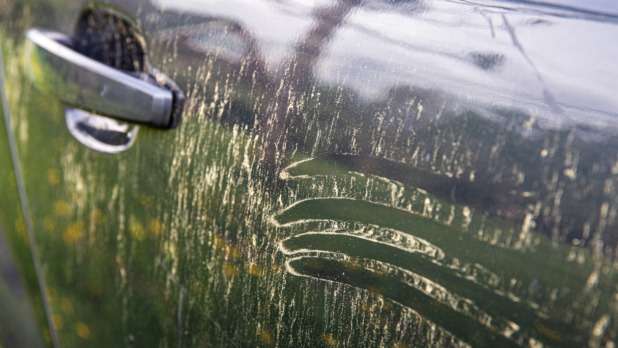 pollen op de auto