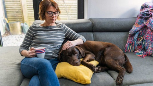 Vrouw met hond op de bank
