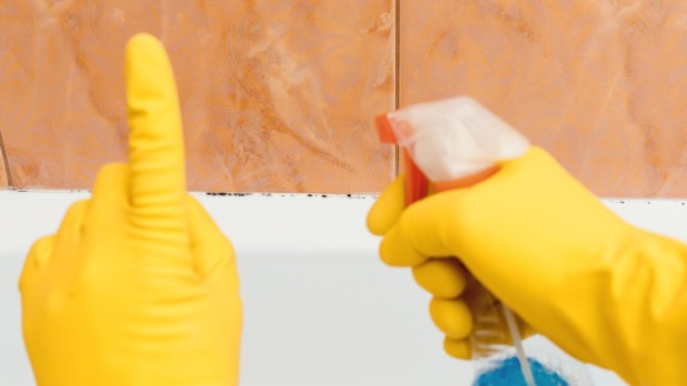 Schimmel in de badkamer te lijf