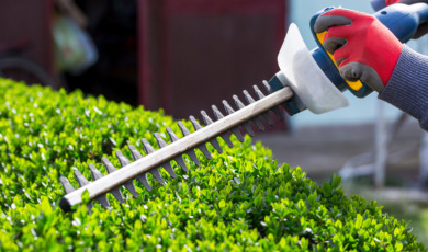 Trimming the Bushes
