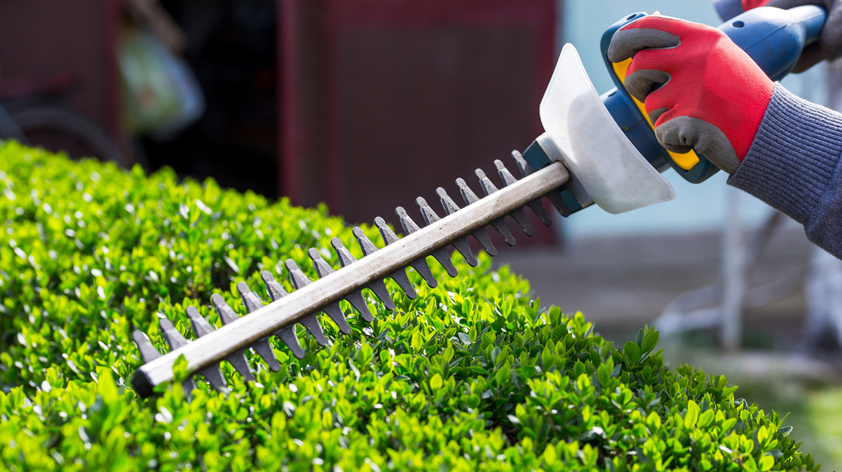 Trimming the Bushes