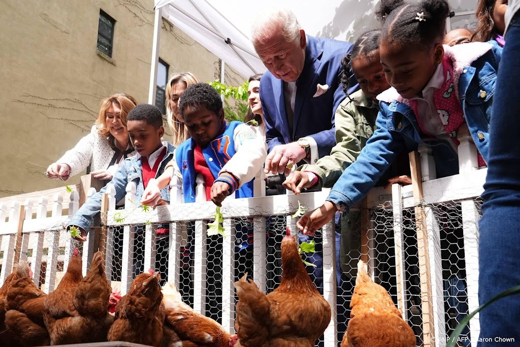 Koning Charles voert kippen in schooltuin in New York