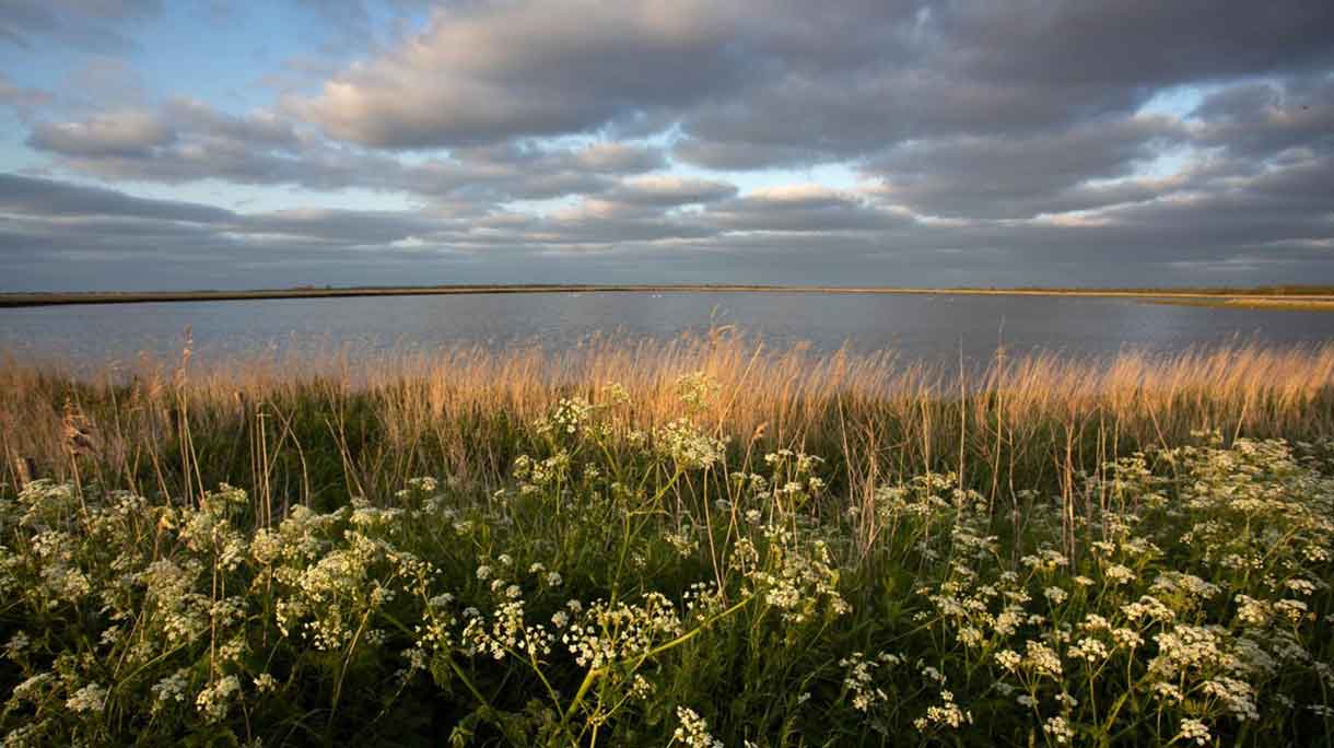 Nationaal park Lauwersmeer