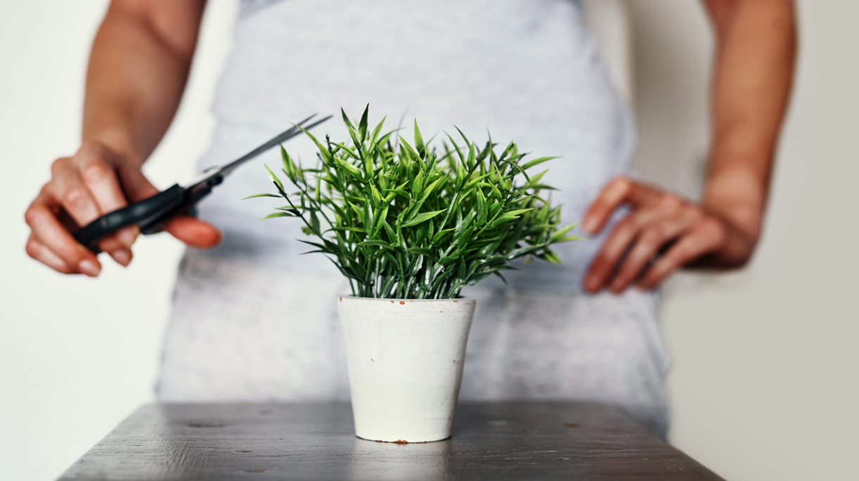 vrouw knipt plantje