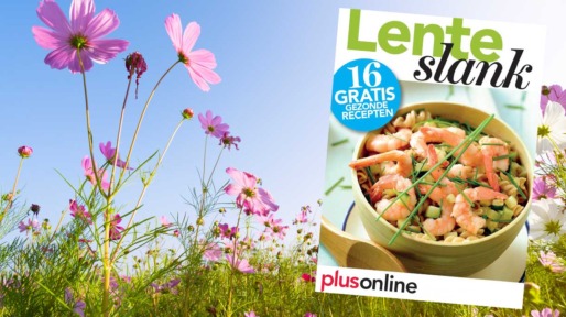 Receptenboekje Lenteslank