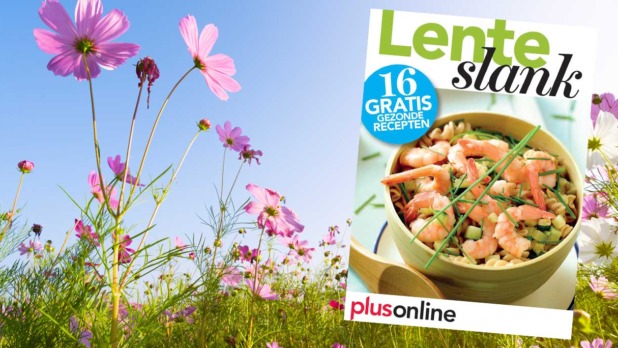 Receptenboekje Lenteslank