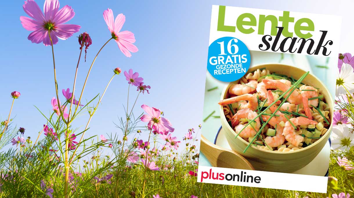 Receptenboekje Lenteslank