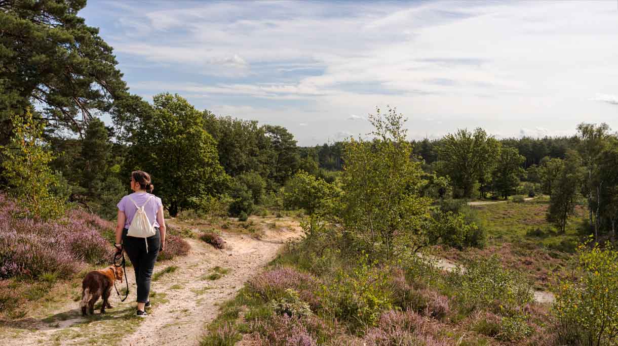Wandelingen in België