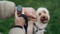 wandelen met hond en smartwatch