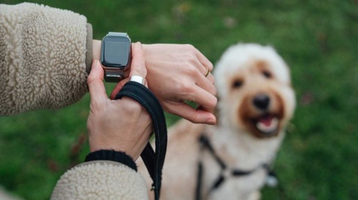 wandelen met hond en smartwatch
