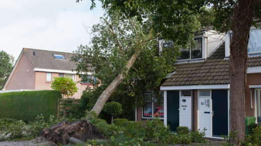 Stormschade