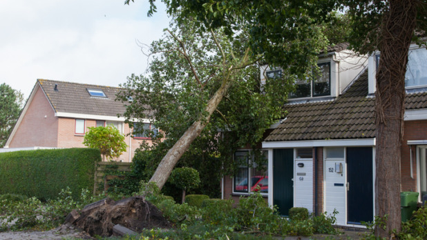 Stormschade