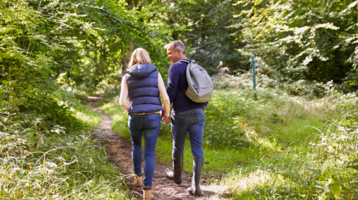 Koppel maakt hand in hand boswandeling