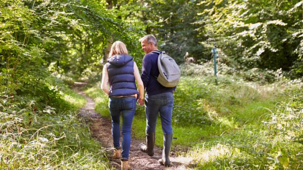 Koppel maakt hand in hand boswandeling