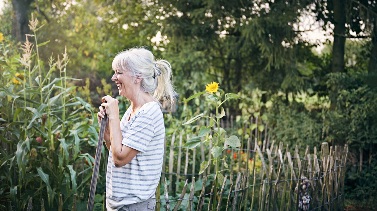 Mature woman working in her vegetable garden