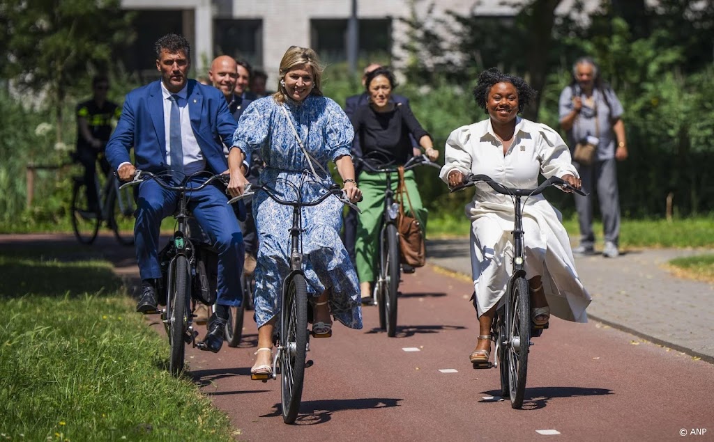 Máxima wil zich blijven inzetten voor financiële gezondheid