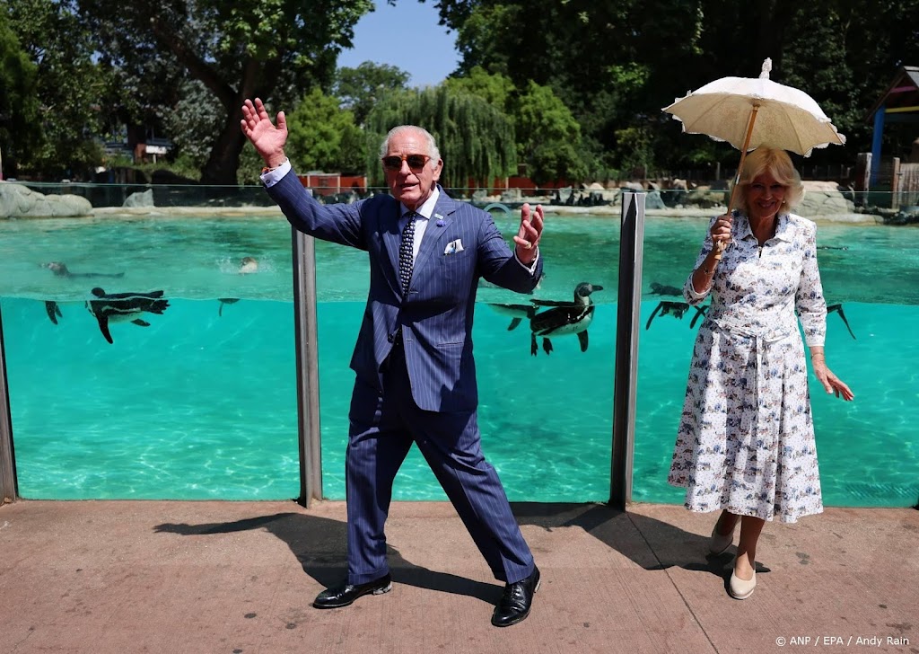 Charles en Camilla doen gezondheidscheck bij pinguïn