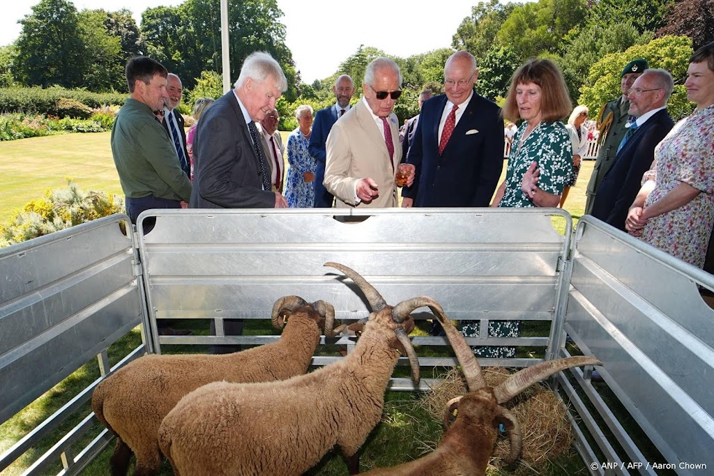 Charles bewondert schapen op het eiland Man