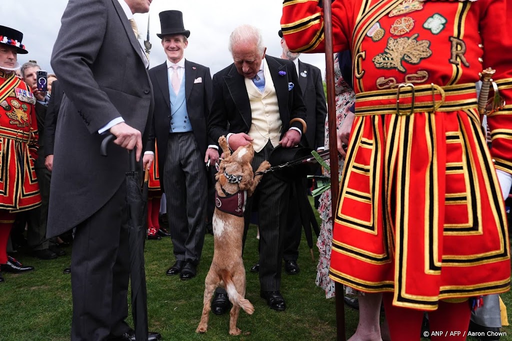 Brits hof eert honden op Internationale Hondendag