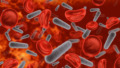 Bloedbaaninfectie