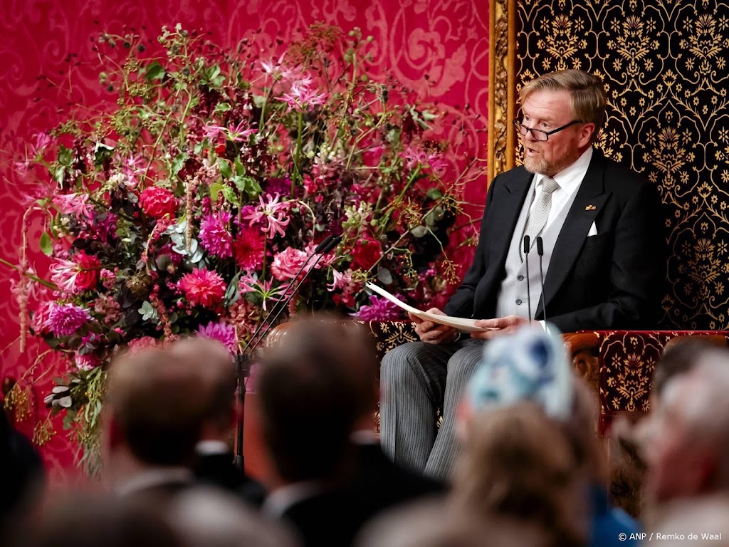 Koning: de politiek moet zich richten op problemen oplossen