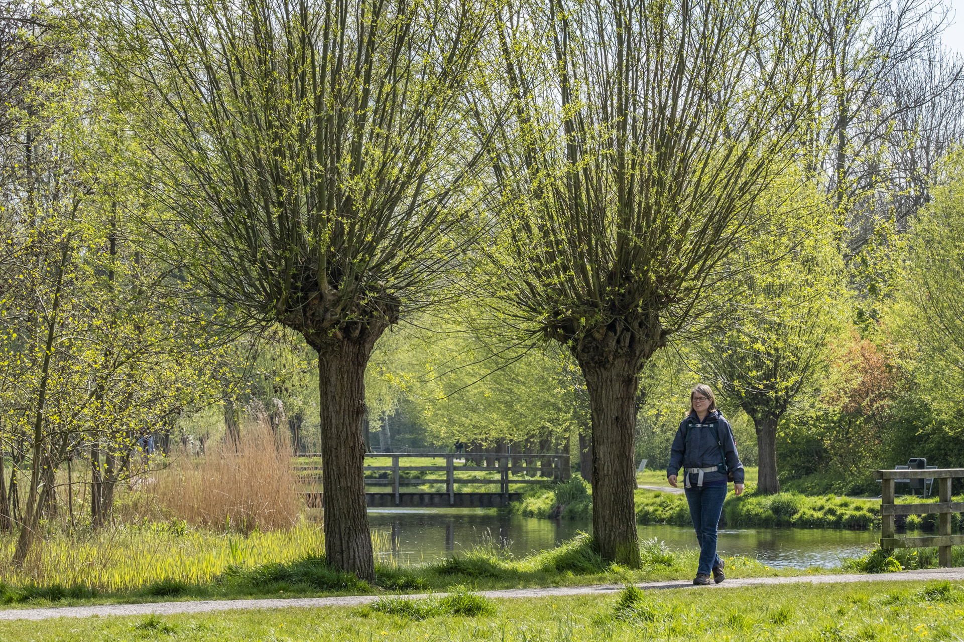 Alkmaar