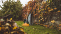 Tuinieren herfst oktober september bladeren