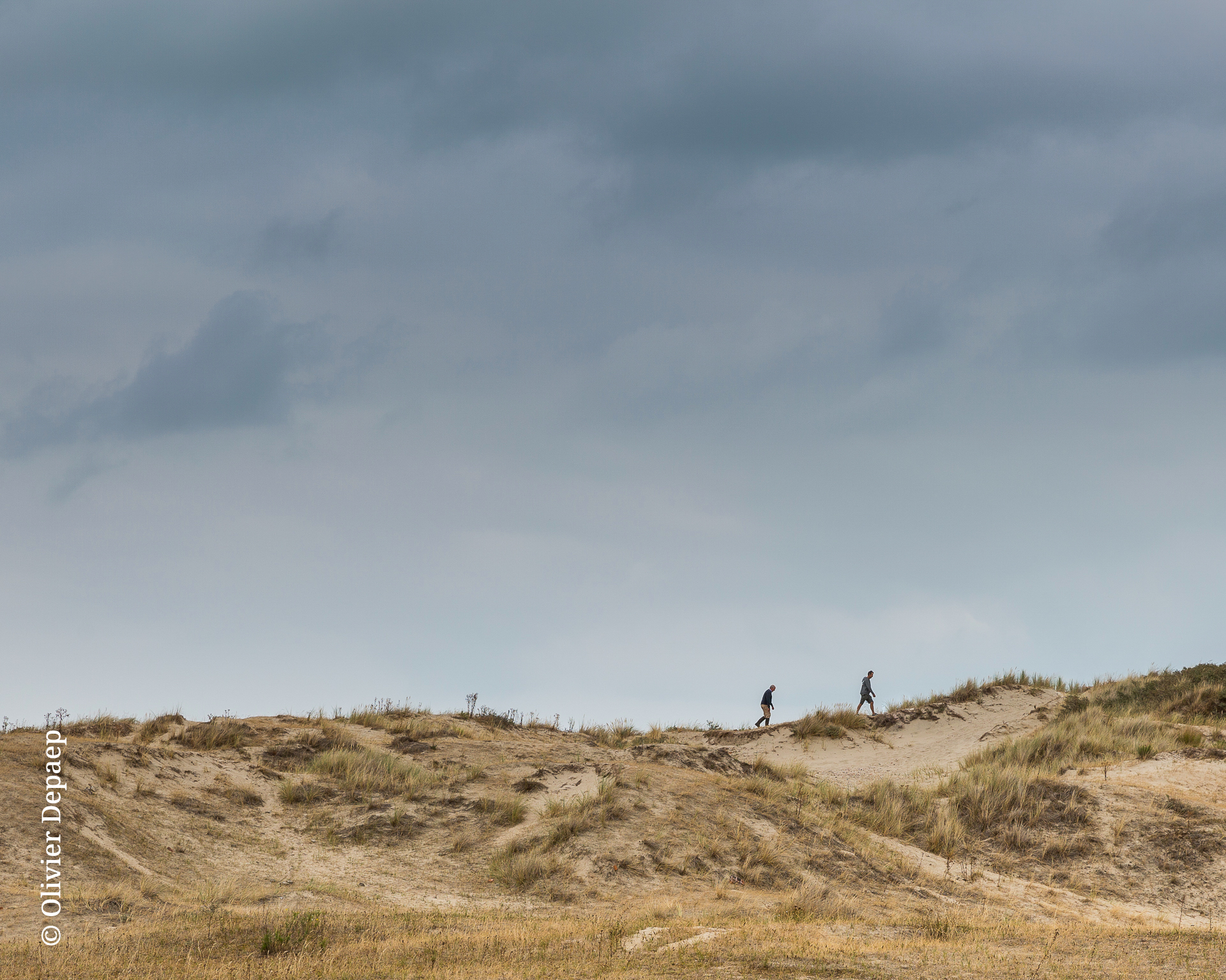 Wandelaars Zwinduinen