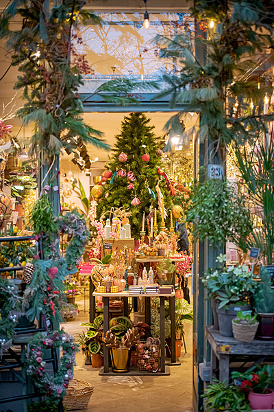 Selectie Hella Delft december