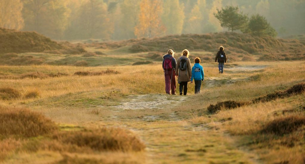 Wandelen duinen najaar