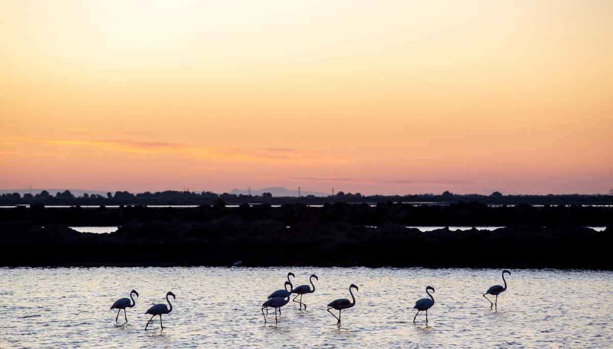 Een korreltje zout aan de Zuid-Franse kust