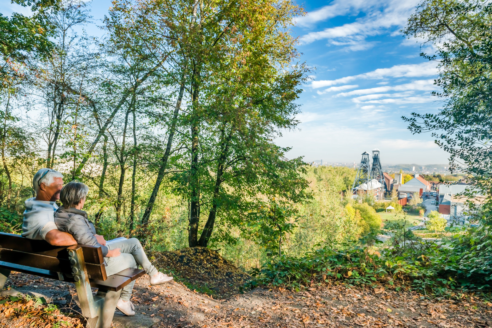 ©Arthurs-H-Charleroi Bois du Cazier