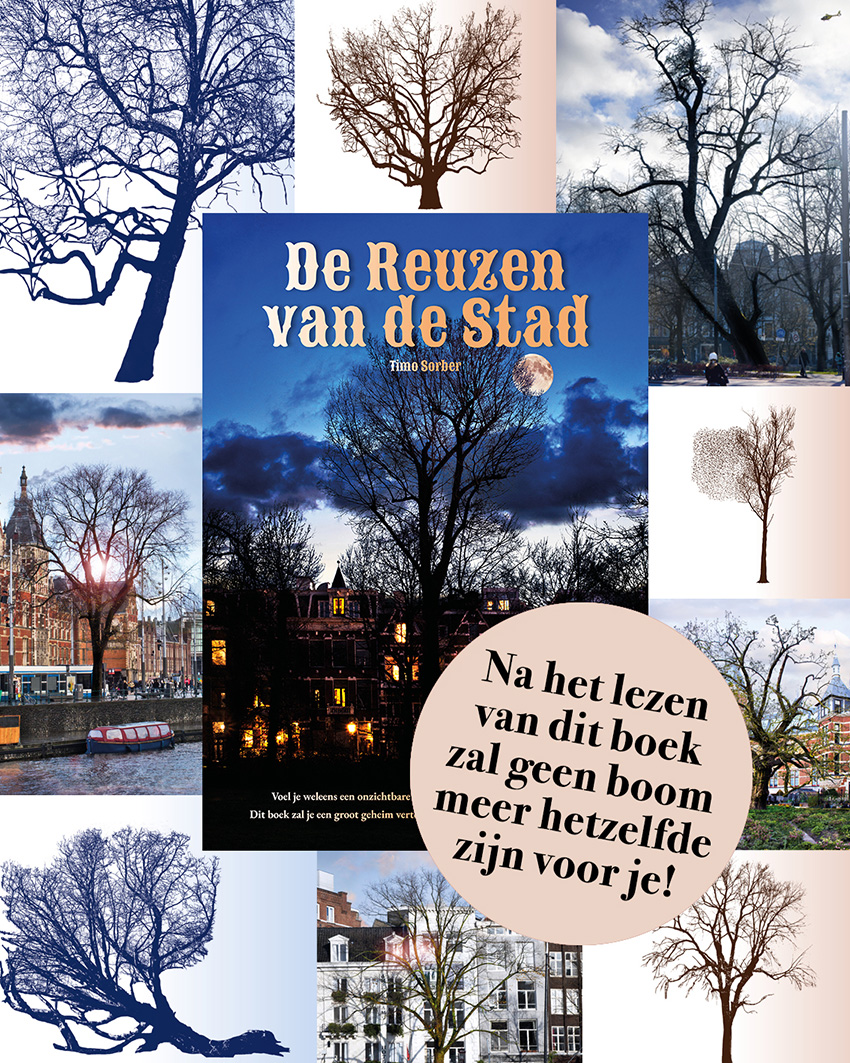 De reuzen van de stad – Timo Sorber