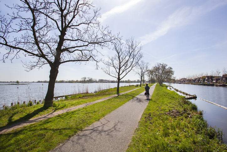 Reewijk