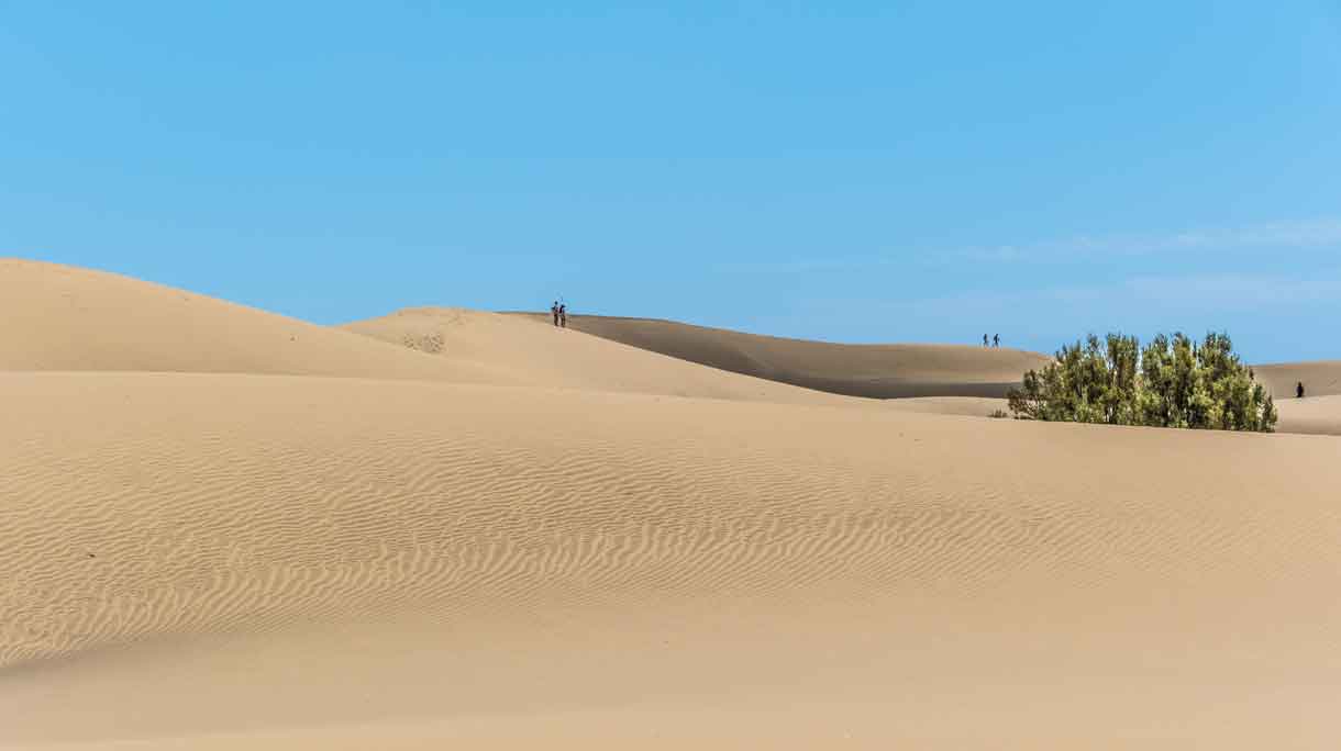 Duinen Maspalomas