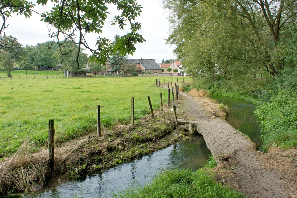 Bart van der Schagt