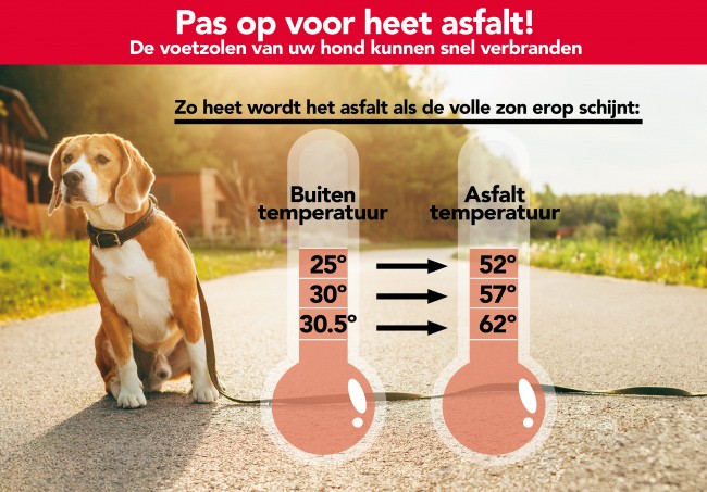 Infographic - zo heet wordt het asfalt 