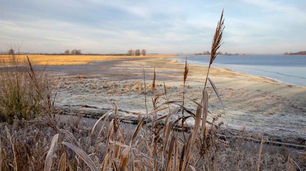 Nationaal Park Lauwersmeer