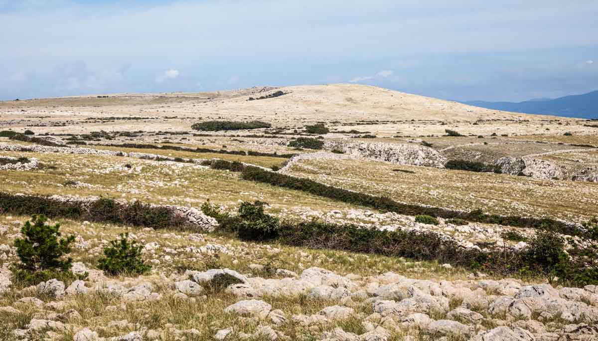 Maanplateau