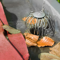 Bladvanger van het merk Nature