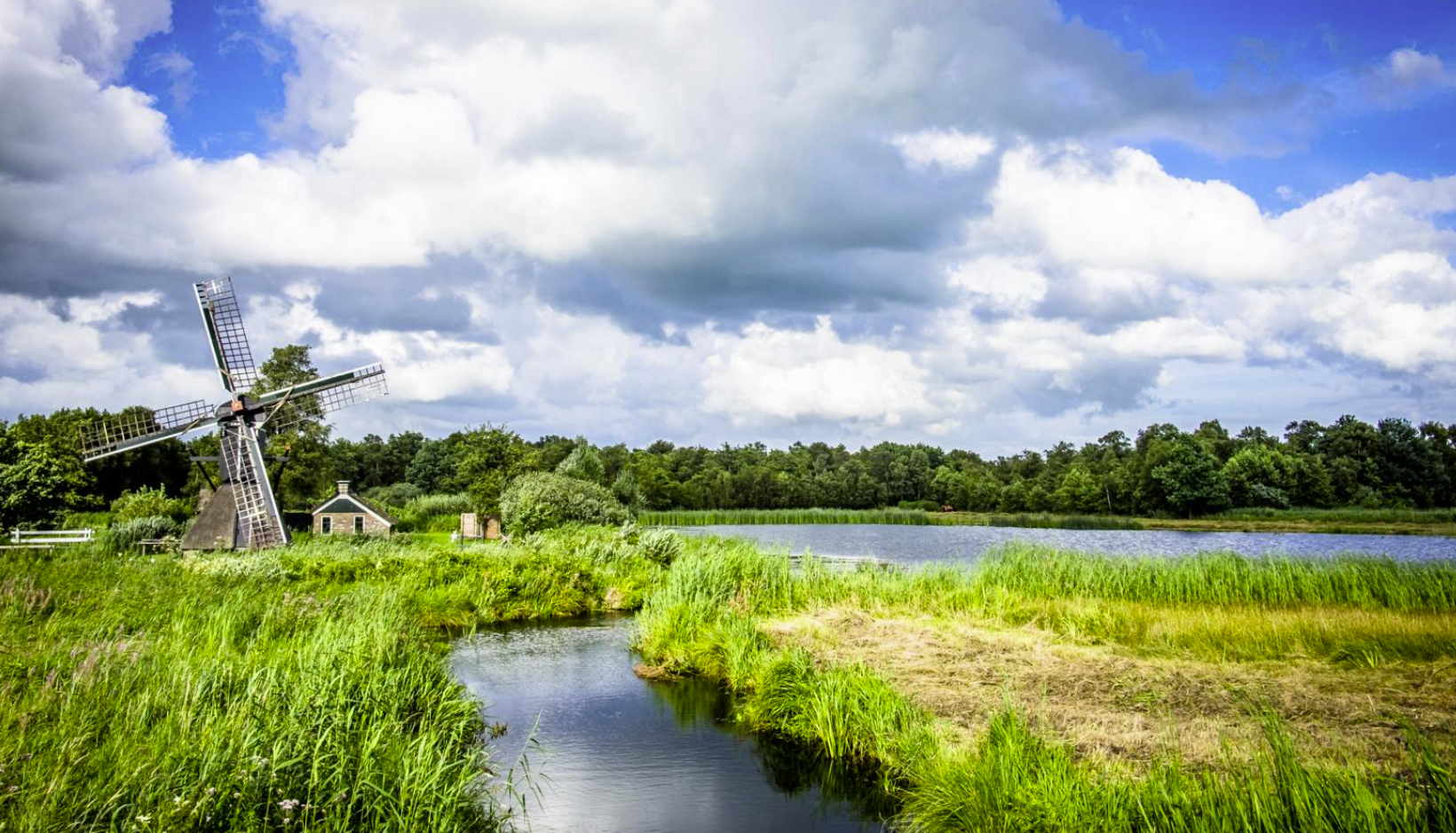 Groene weide