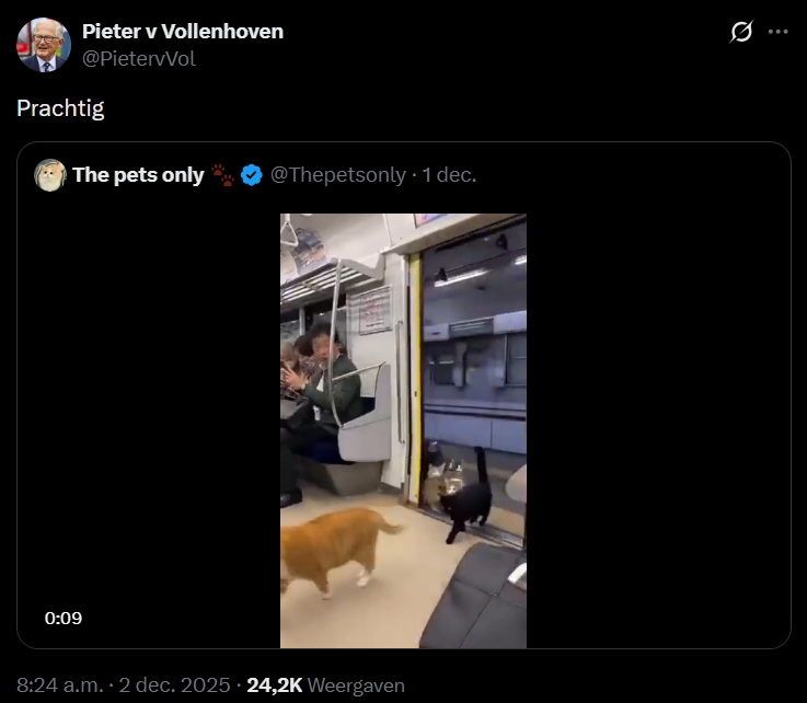 Screenshot van X