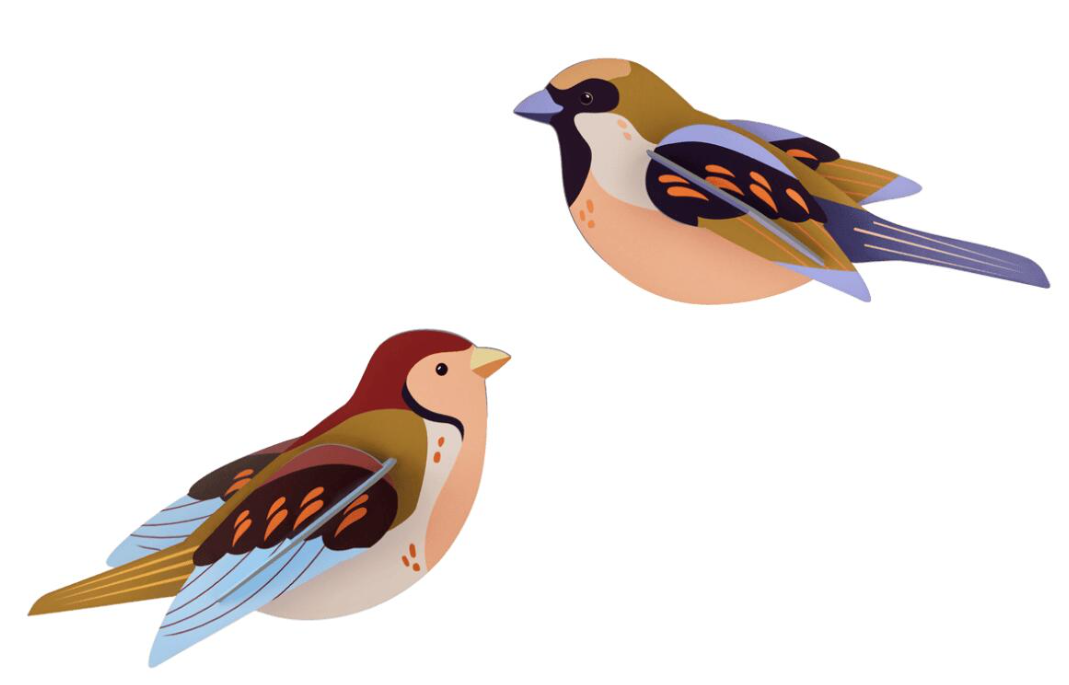 Kartonnen vogels 2