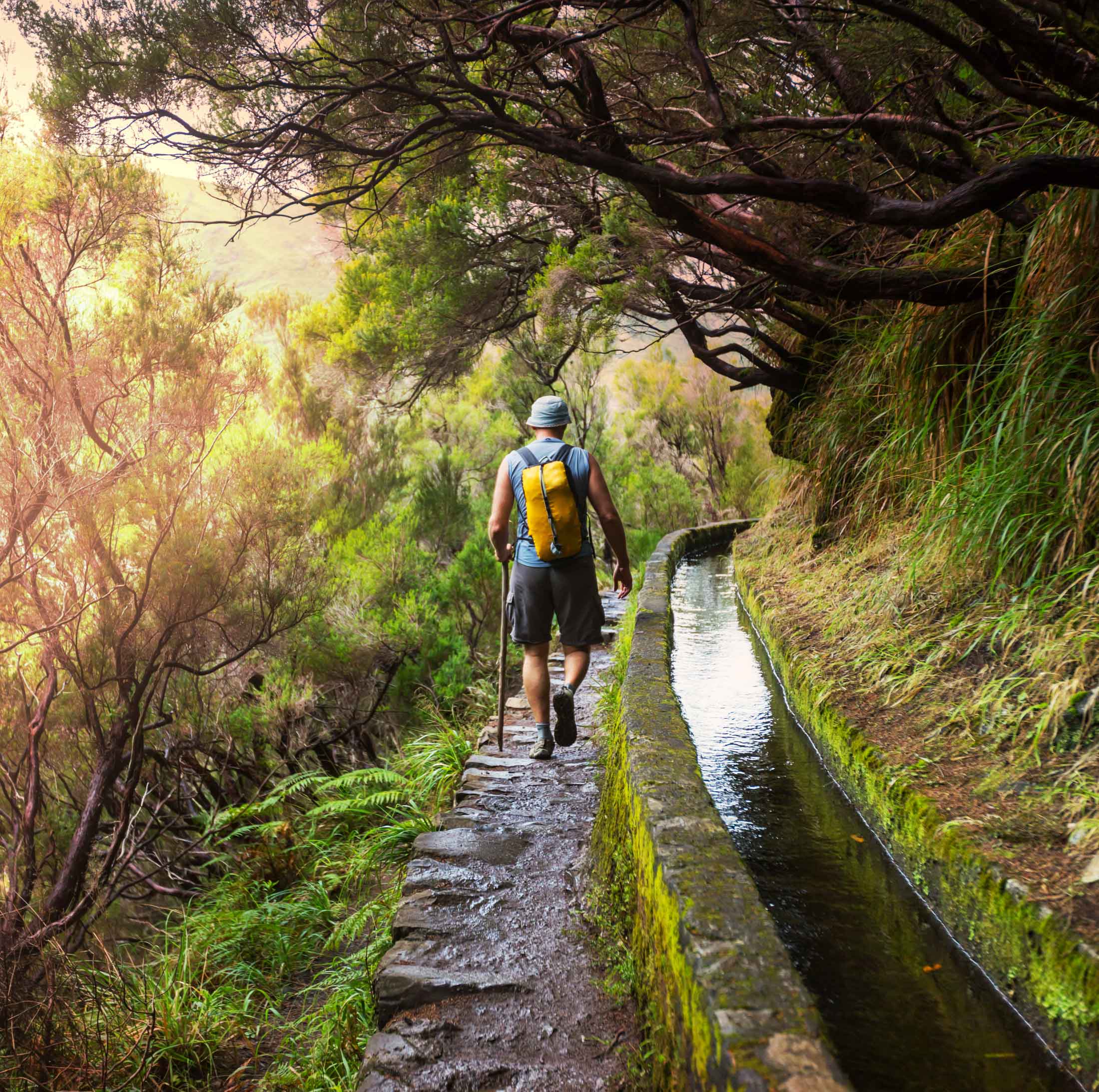 Levada wandeling